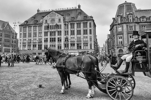 old black and white photo of a man in 19th century attire riding atop a horse drawn carriage