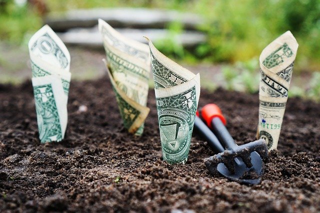 rolled up dollar bills planted in soil like plants.