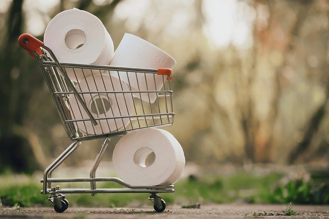rolls of toilet paper in a tiny grocery cart